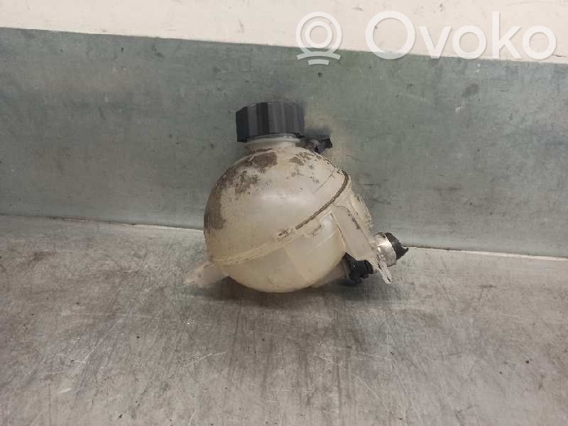 Peugeot Partner Vaso di espansione carburante