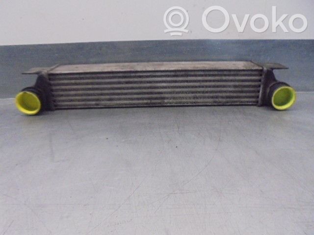 BMW 5 E39 Starpdzesētāja radiators 