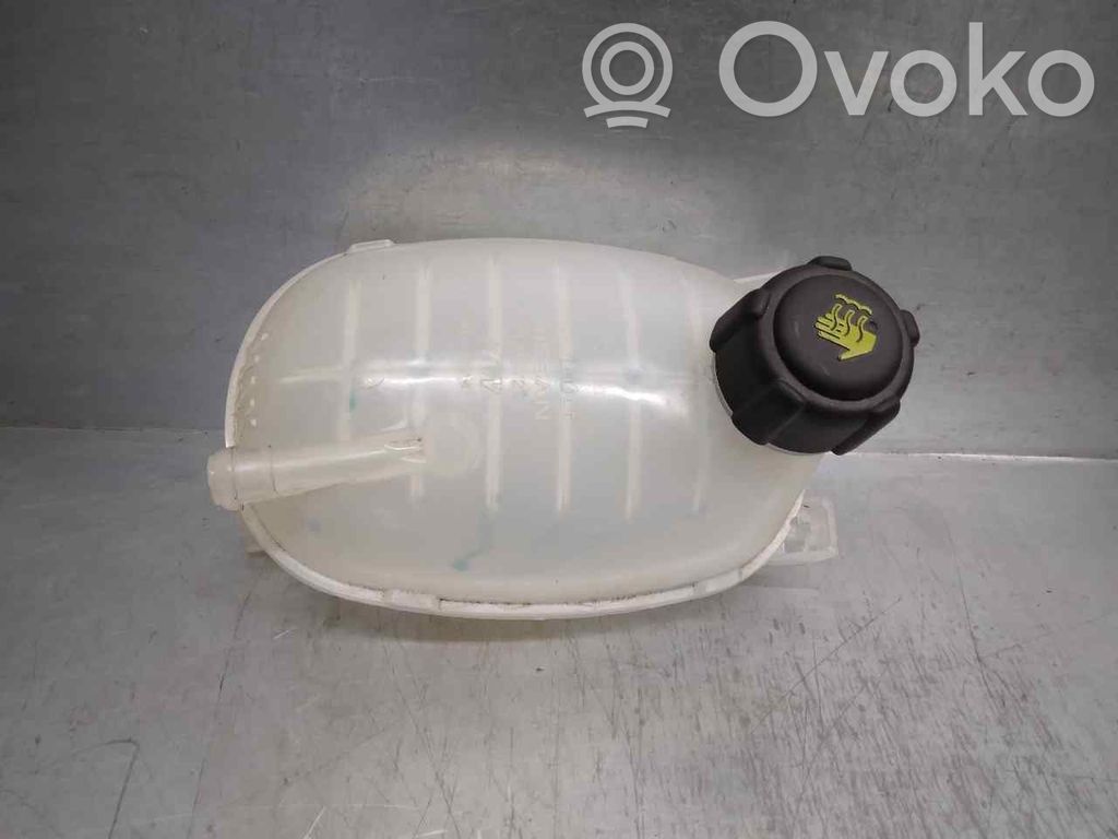 Renault Arkana Vas expansiune combustibil 