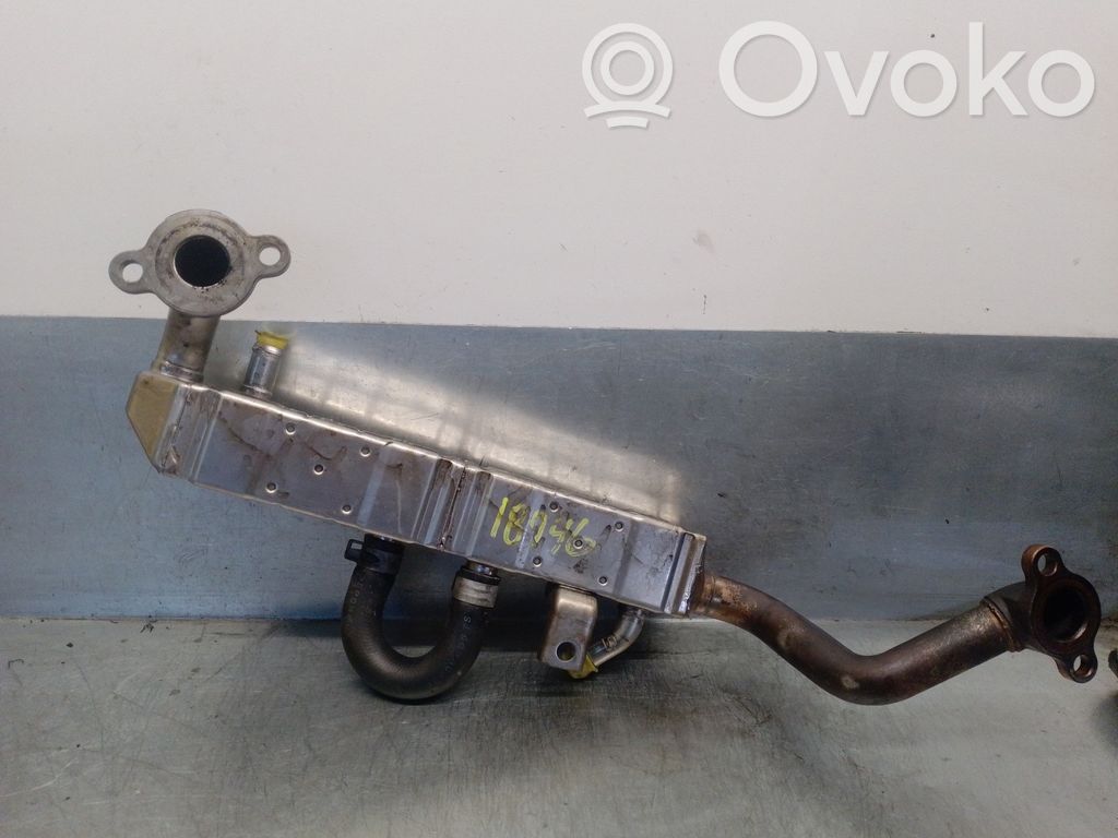 Subaru Outback Refroidisseur de vanne EGR 