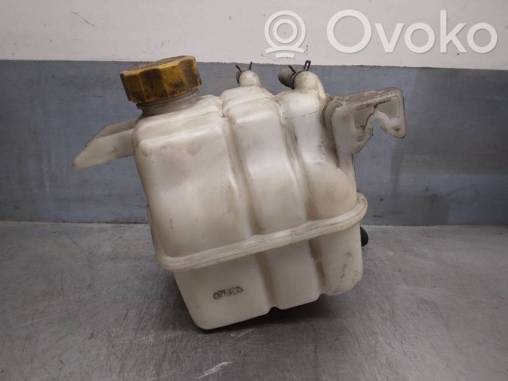 Opel Antara Kuro išsiplėtimo bakelis 