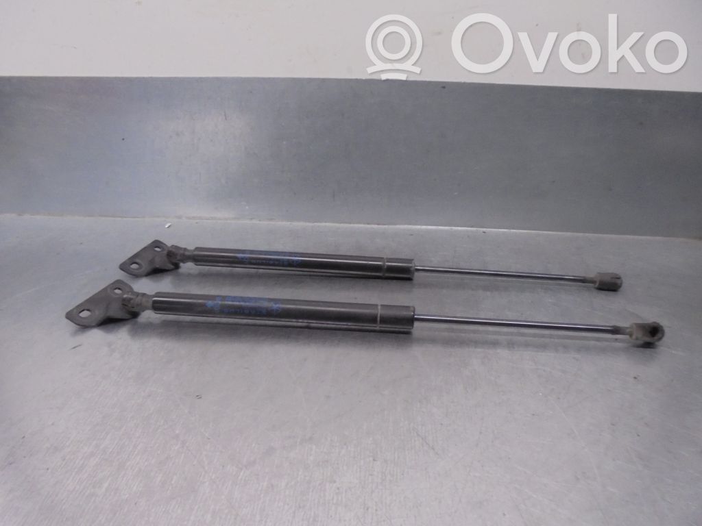 Dodge Journey Ammortizzatore portellone posteriore/bagagliaio