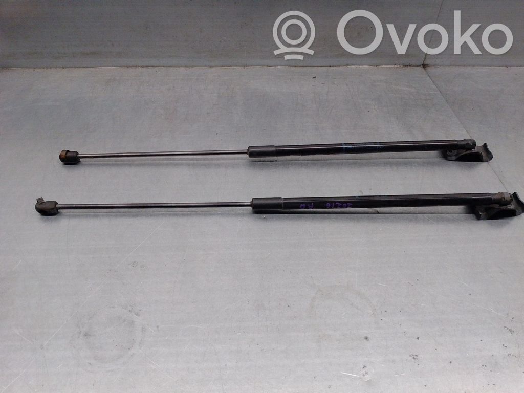 Renault Megane III Tailgate/trunk strut/damper 