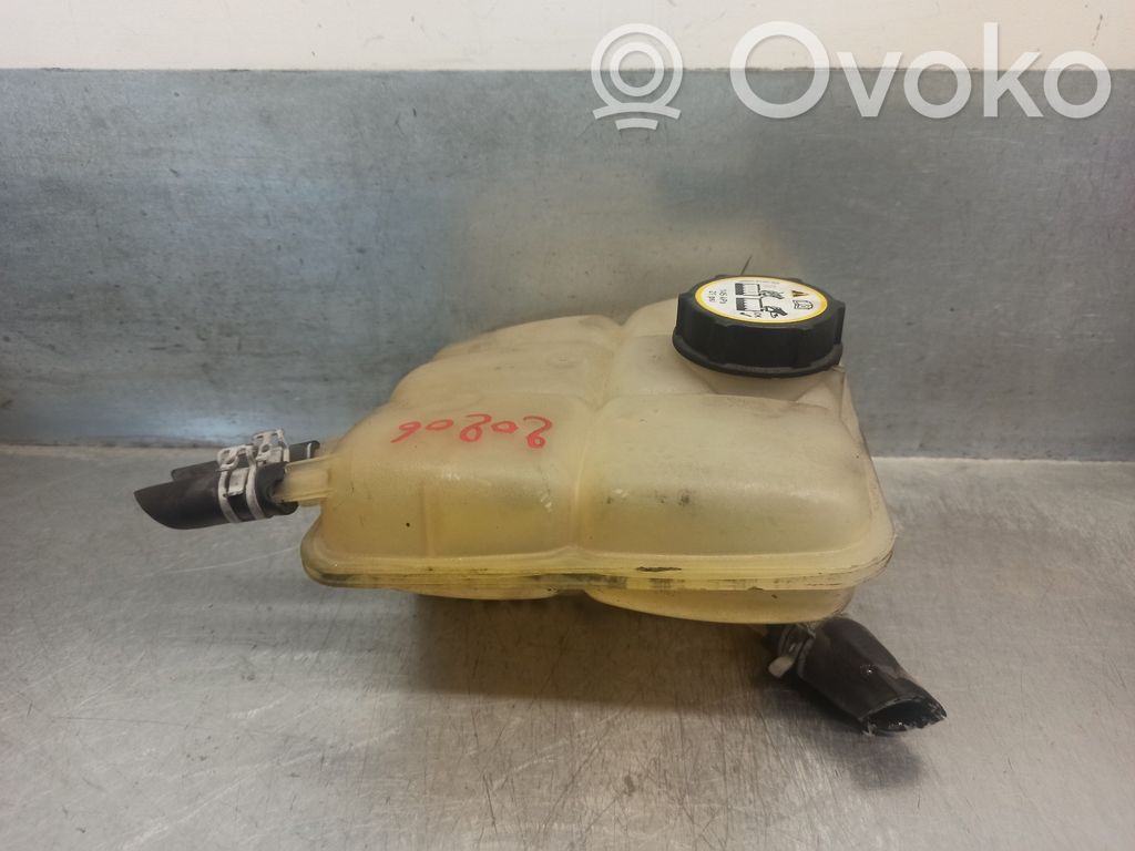 Ford Focus Depósito de expansión de combustible