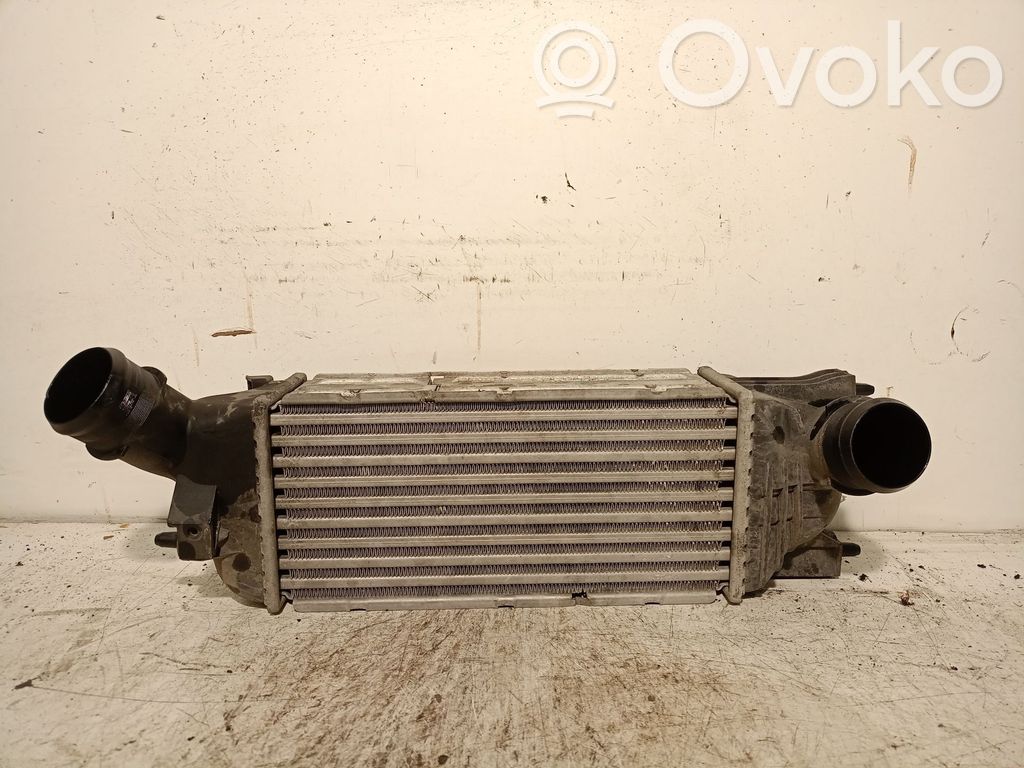 Peugeot 407 Starpdzesētāja radiators 