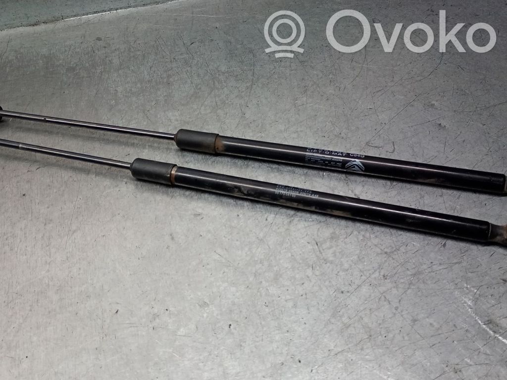 Citroen C5 Aircross Gasdruckfeder Dämpfer Heckklappe Kofferraumdeckel 