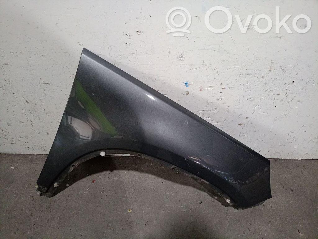 Volkswagen Tiguan Błotnik przedni