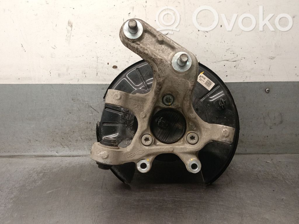 KIA Niro Achsschenkel hinten 
