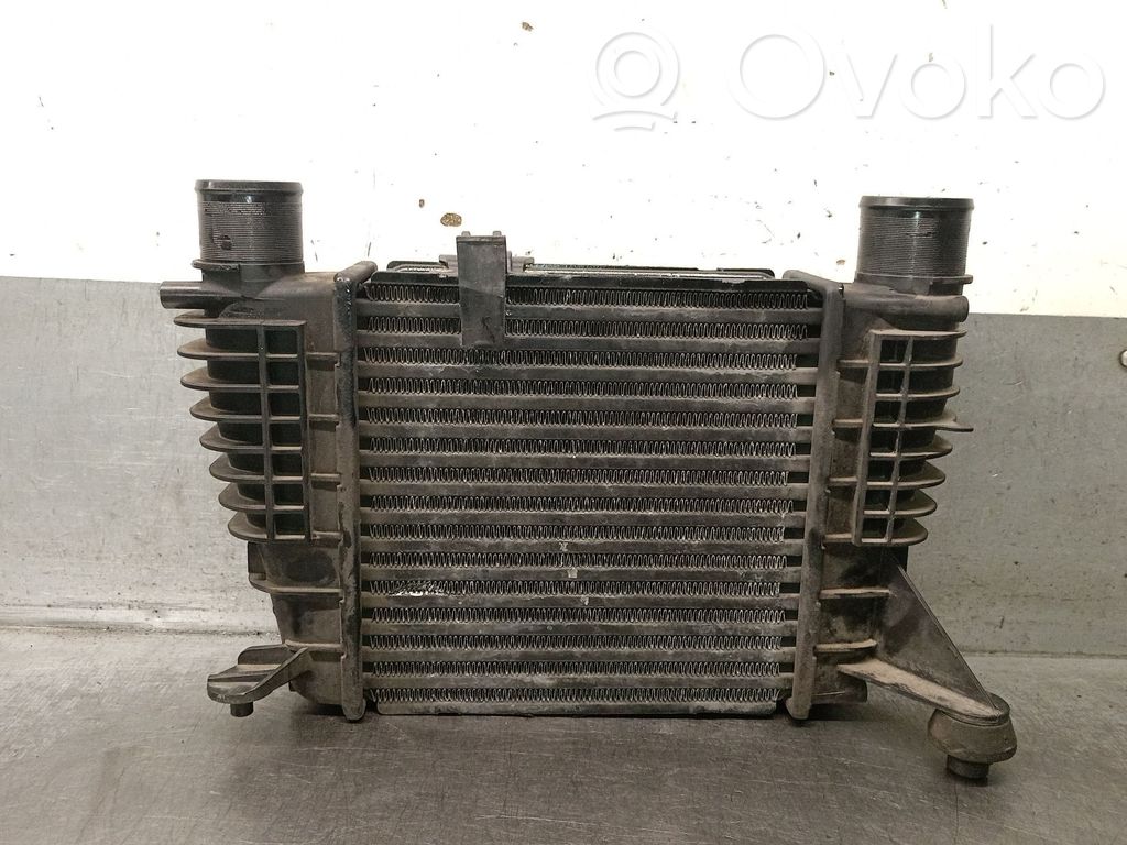 Renault Modus Refroidisseur intermédiaire 