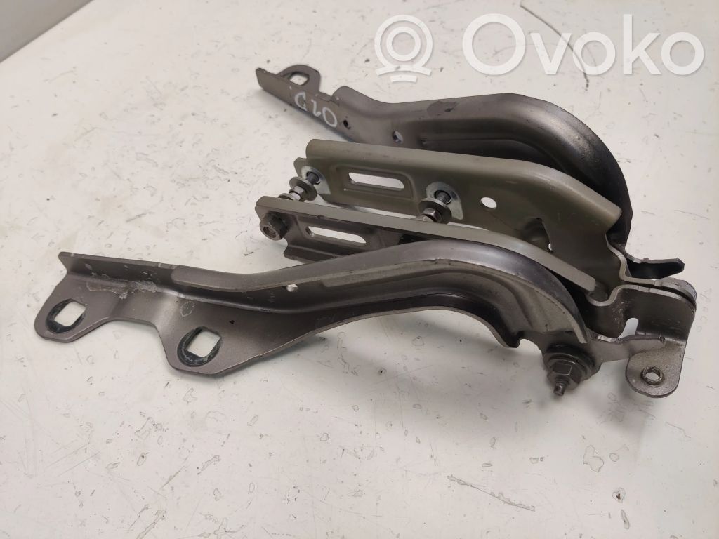 Chrysler Pacifica Engine bonnet/hood hinges 