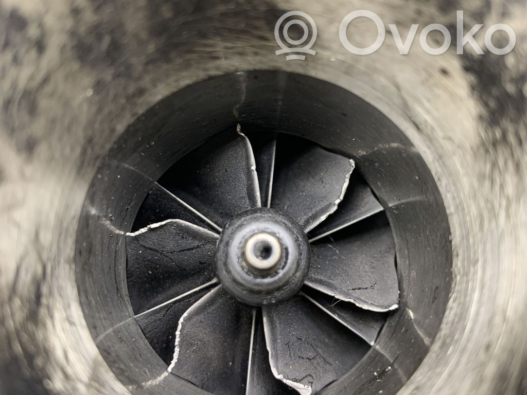 Turbina   7800594C02