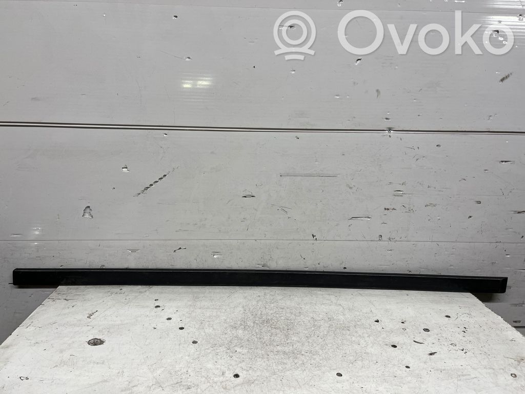 BMW 5 E39 Front door trim (molding) 