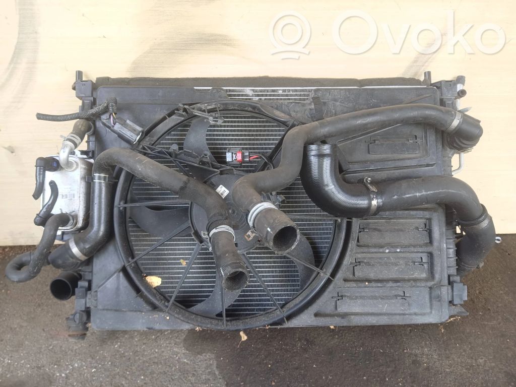 Ford C-MAX II Set del radiatore 