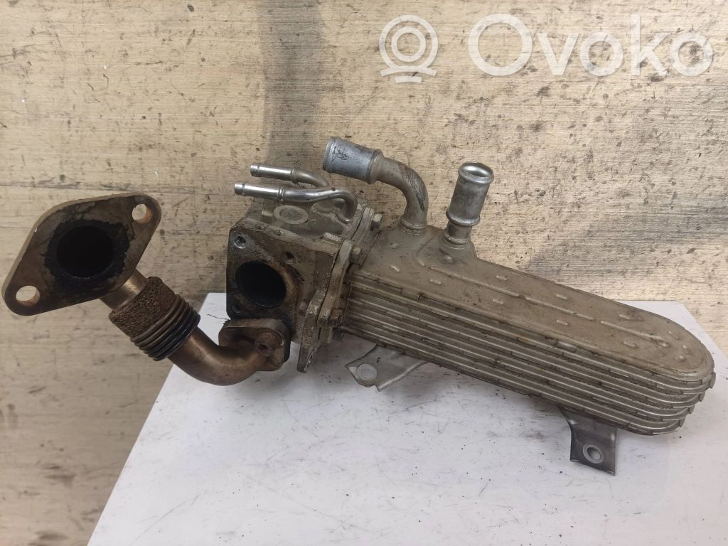Volkswagen PASSAT B6 Refroidisseur de vanne EGR 