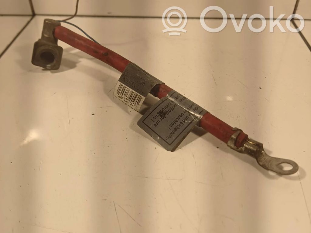 Positive cable (battery)   6988973