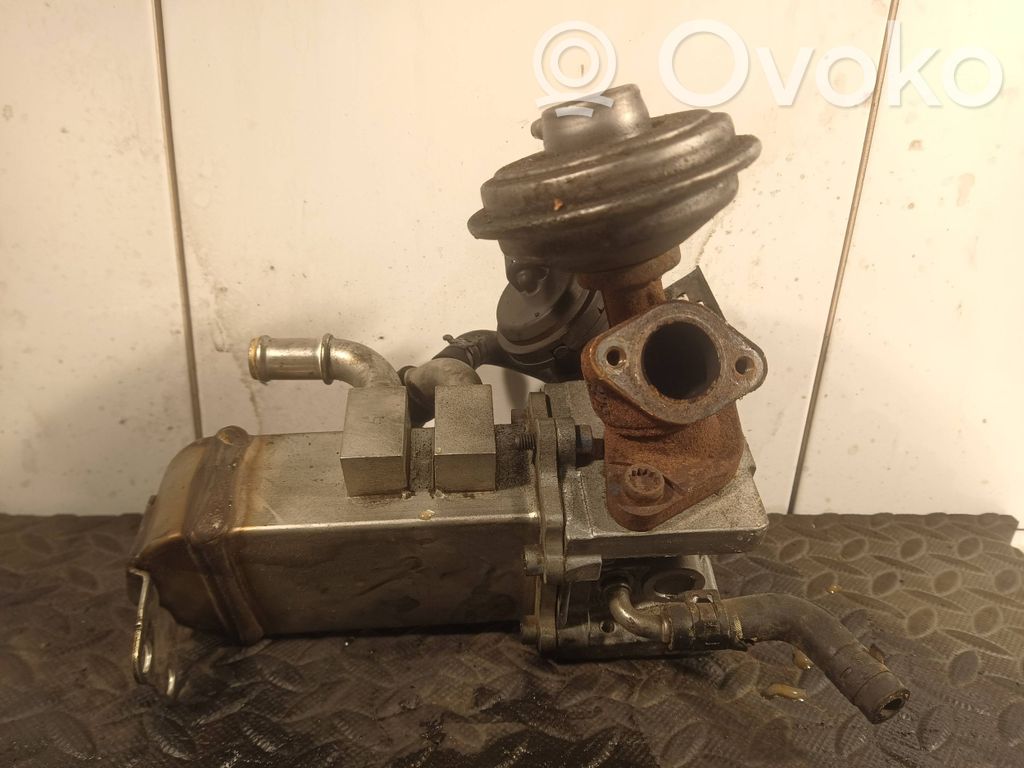 Volkswagen Touareg I Охладитель EGR 
