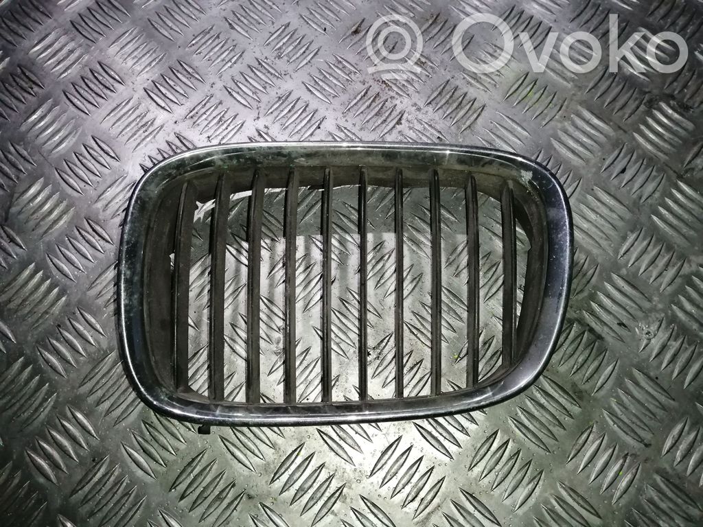 Front grill   2497261,8159315,8184531