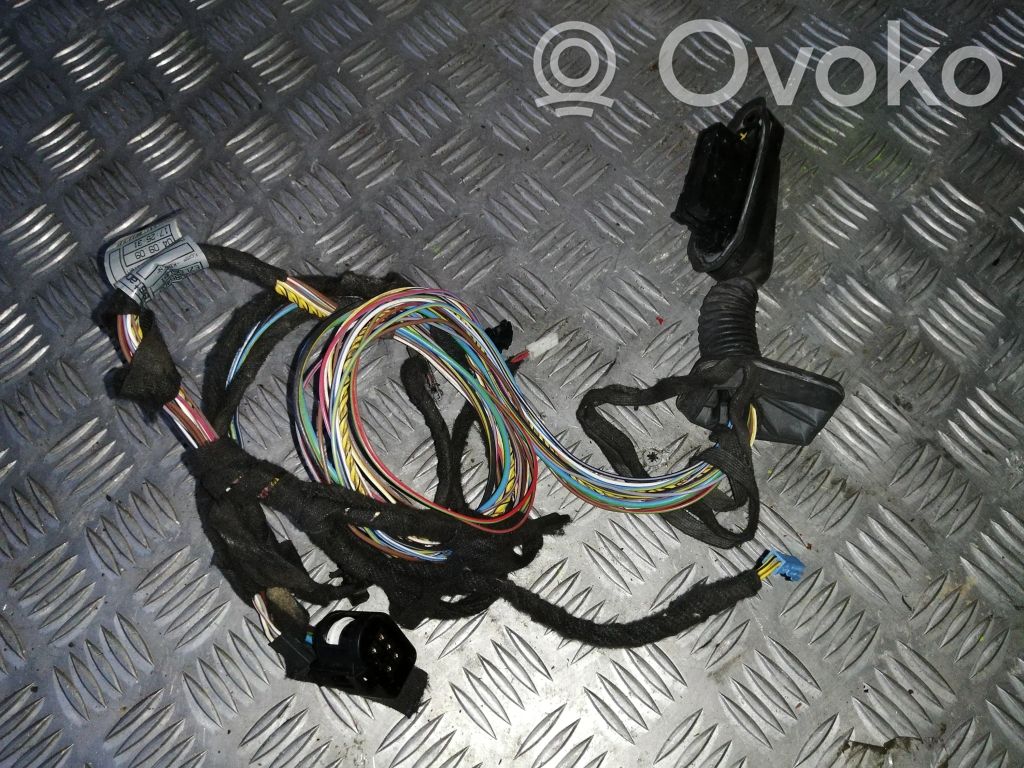 BMW X3 E83 Cableado de puerta trasera 