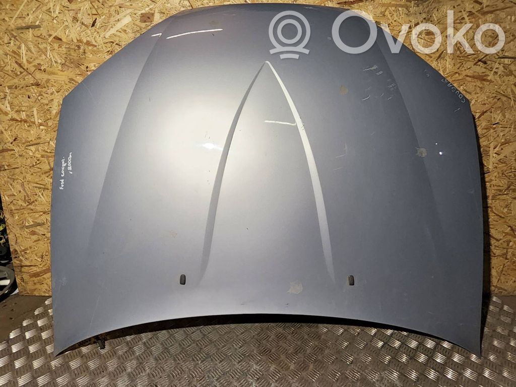 Engine bonnet/hood