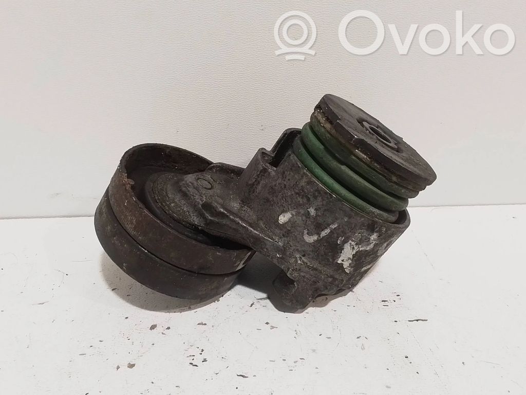 Volvo S40, V40 Tendicinghia generatore/alternatore 
