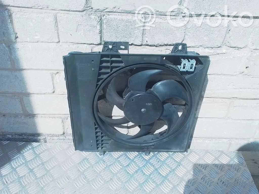 Peugeot 207 Electric radiator cooling fan 