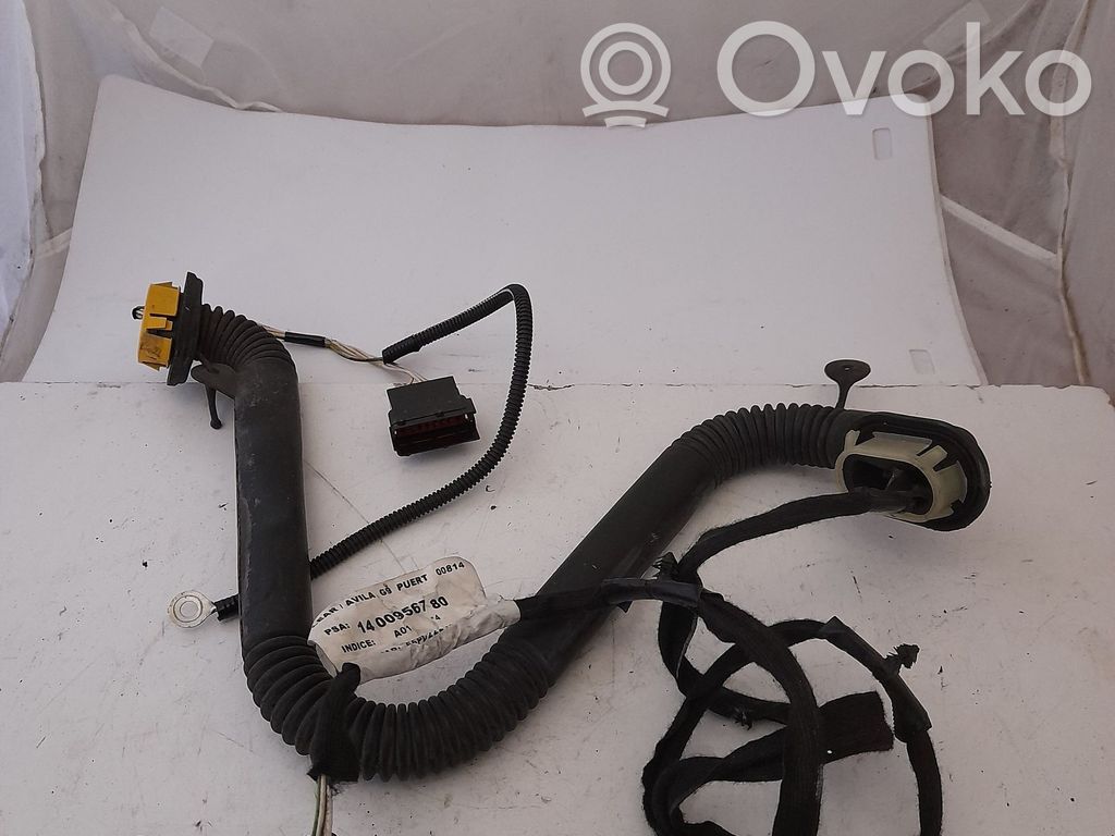 Peugeot Expert Otros cableados 