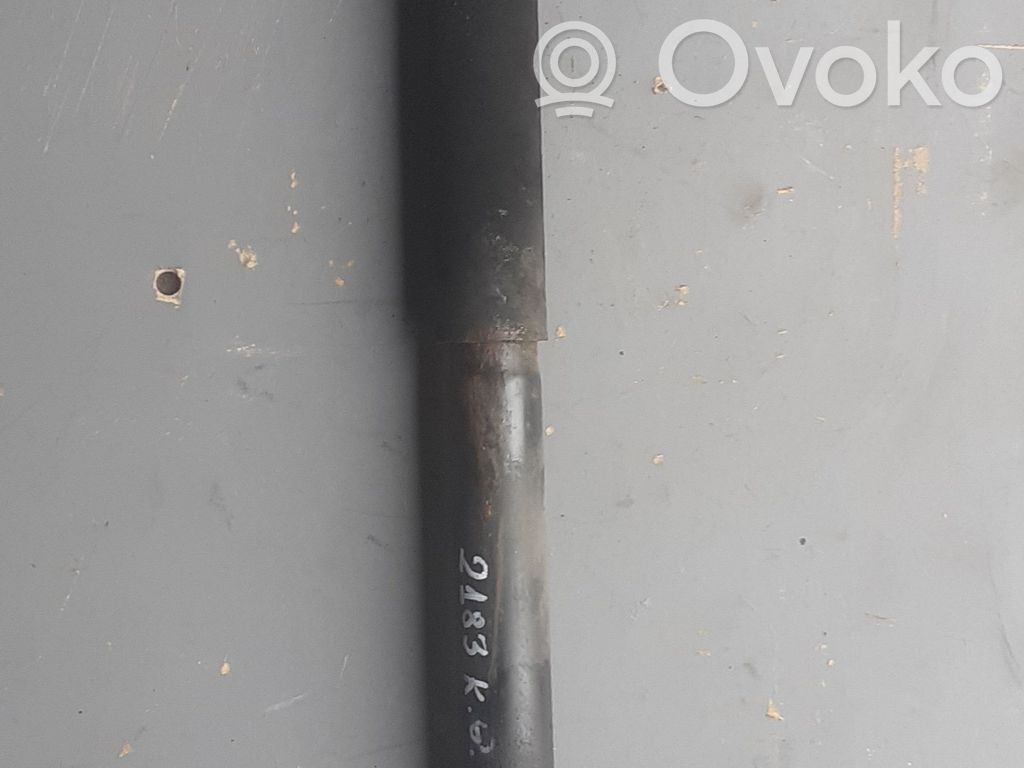 Volkswagen Sharan Stoßdämpfer hinten 