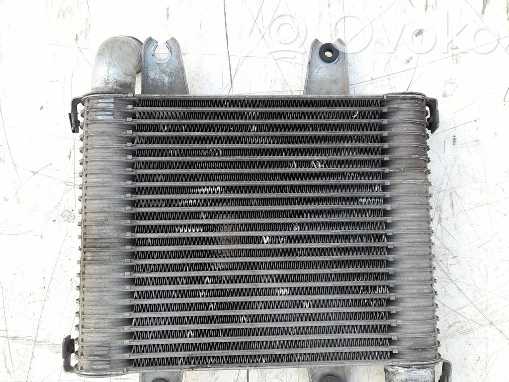 KIA Carnival Interkūlerio radiatorius 