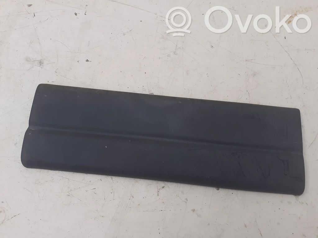 Renault Mascott Rear door trim (molding) 