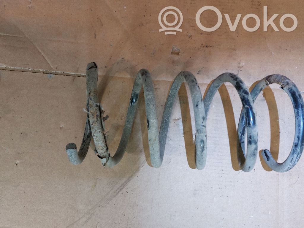 Rear coil spring