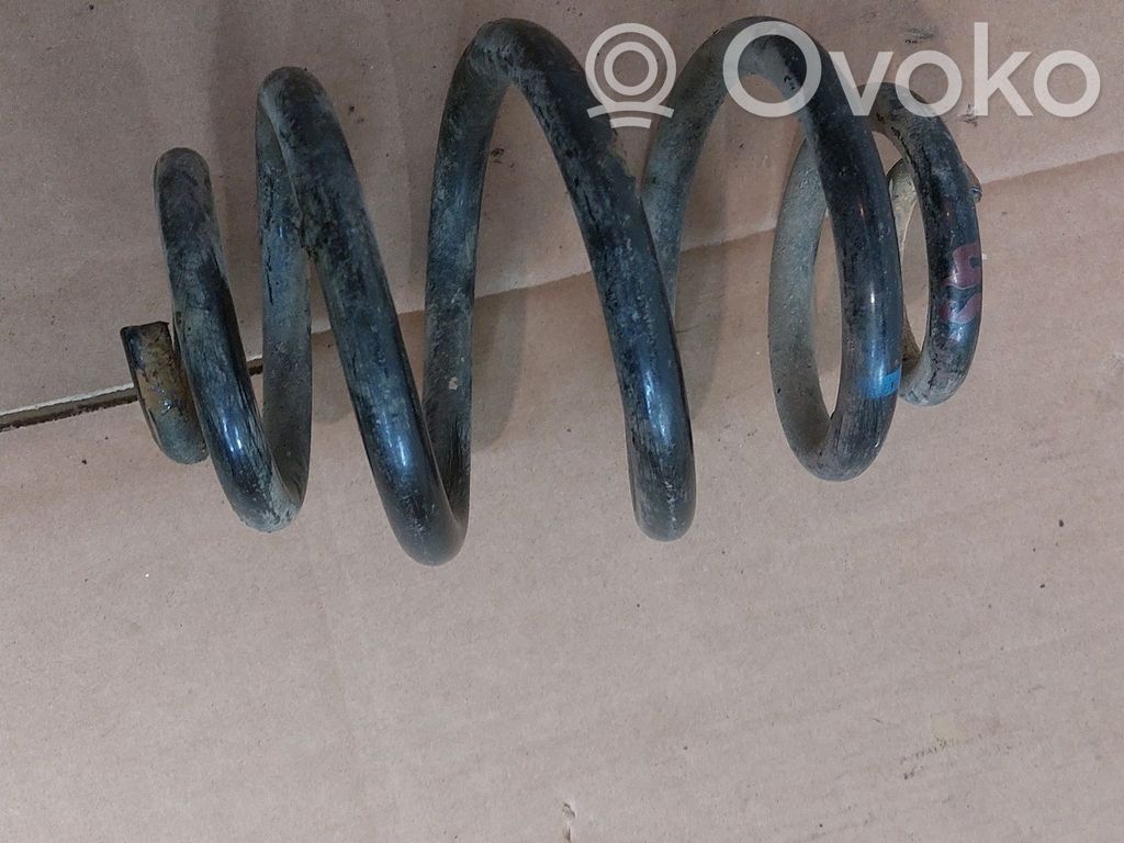 Rear coil spring