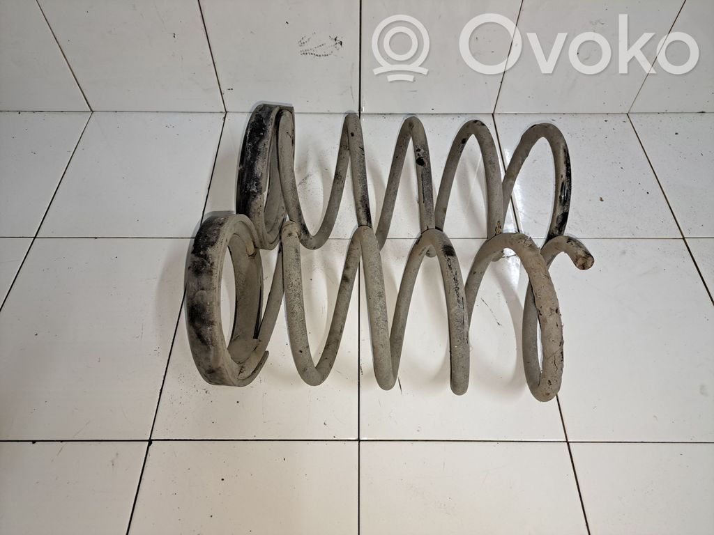 Rear coil spring