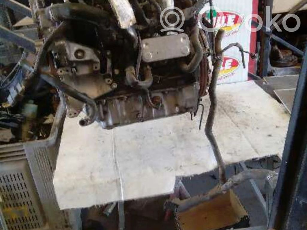 Variklis   D223LFM
