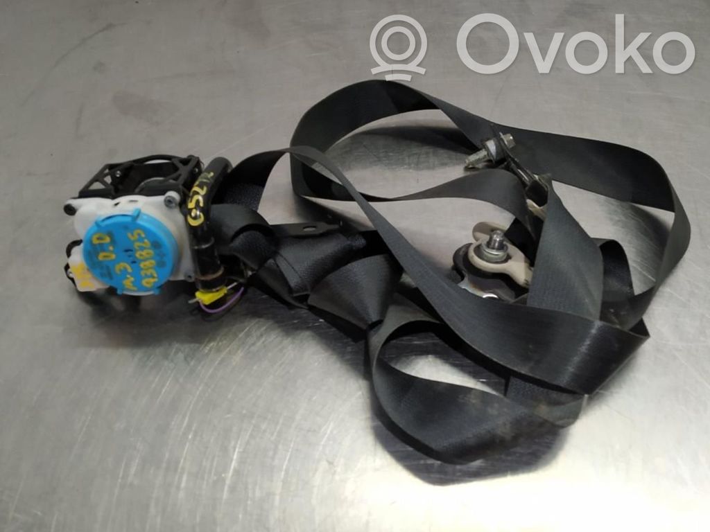 Cinturón delantero   305257810