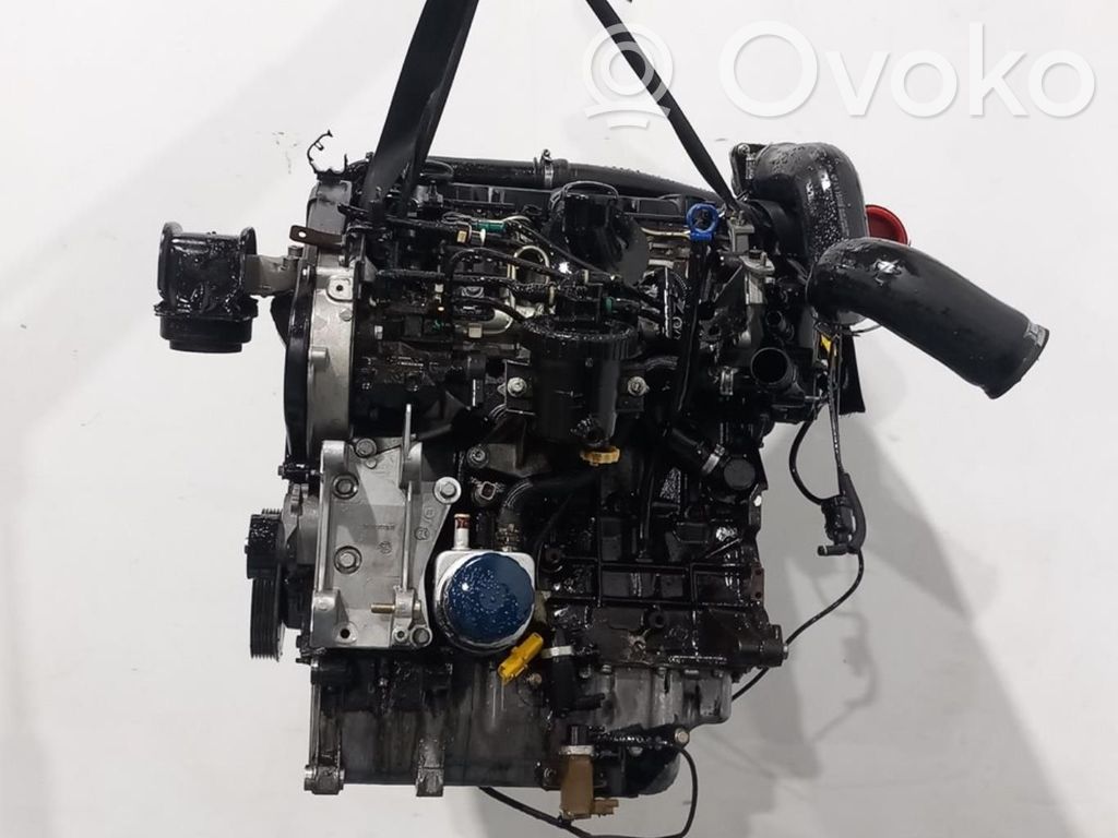 Motor   RHS