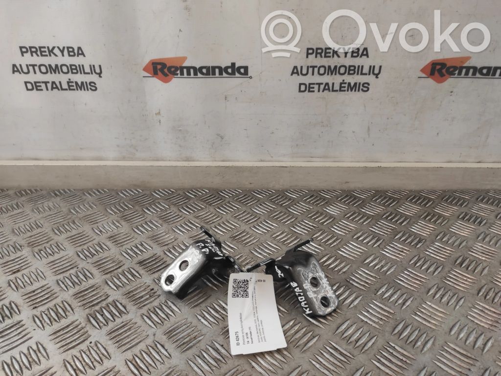 Renault Kadjar Front door hinge set 