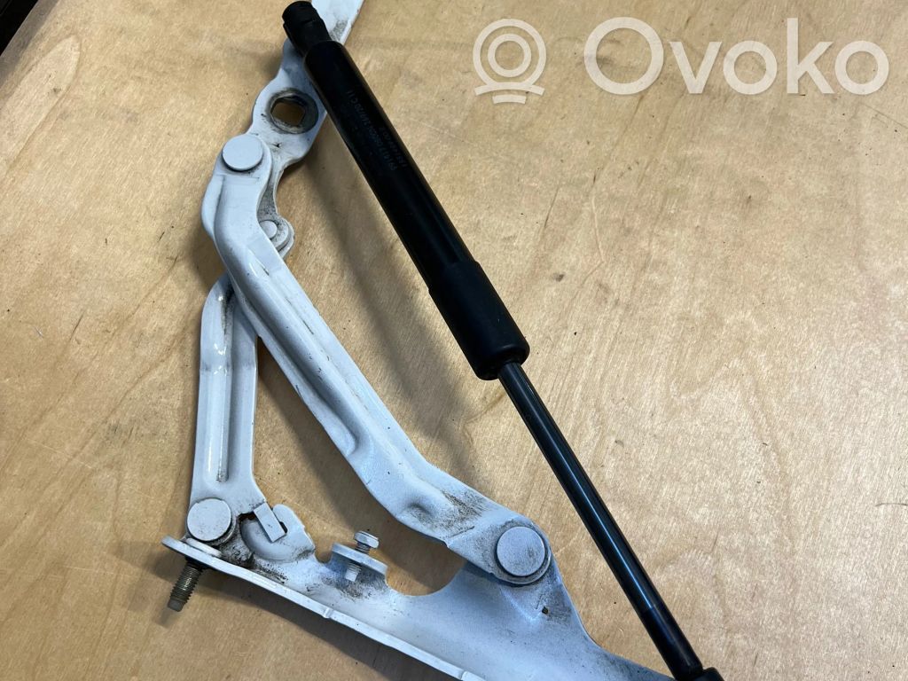 Tesla Model 3 Tailgate/trunk/boot hinge 