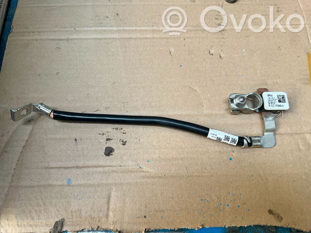 BMW X4 G02 Minus / Klema / Przewód akumulatora 