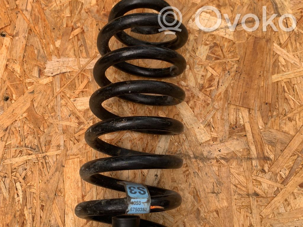 Rear coil spring   6750352