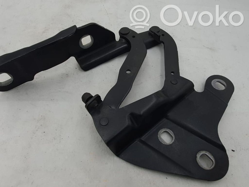 BMW X1 E84 Engine bonnet/hood hinges 