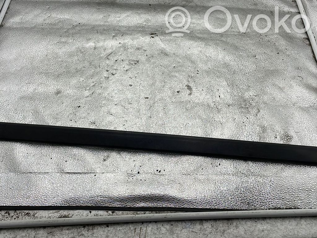 BMW 5 E39 Rivestimento della portiera anteriore (modanatura) 