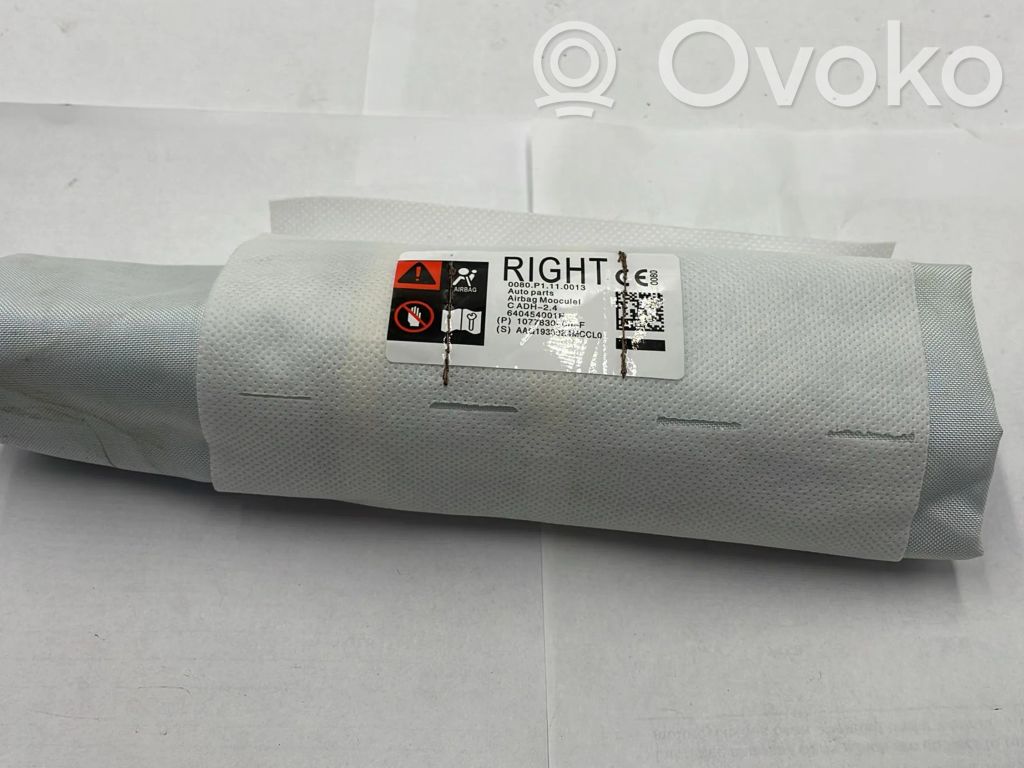Tesla Model 3 Sitz-Airbag 