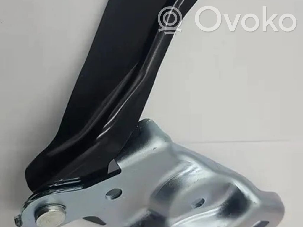 Tesla Model 3 Konepellin saranat 