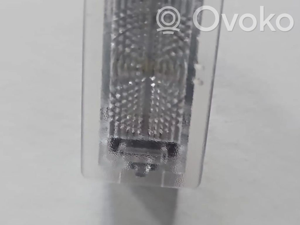 Tesla Model Y Front door interior light 