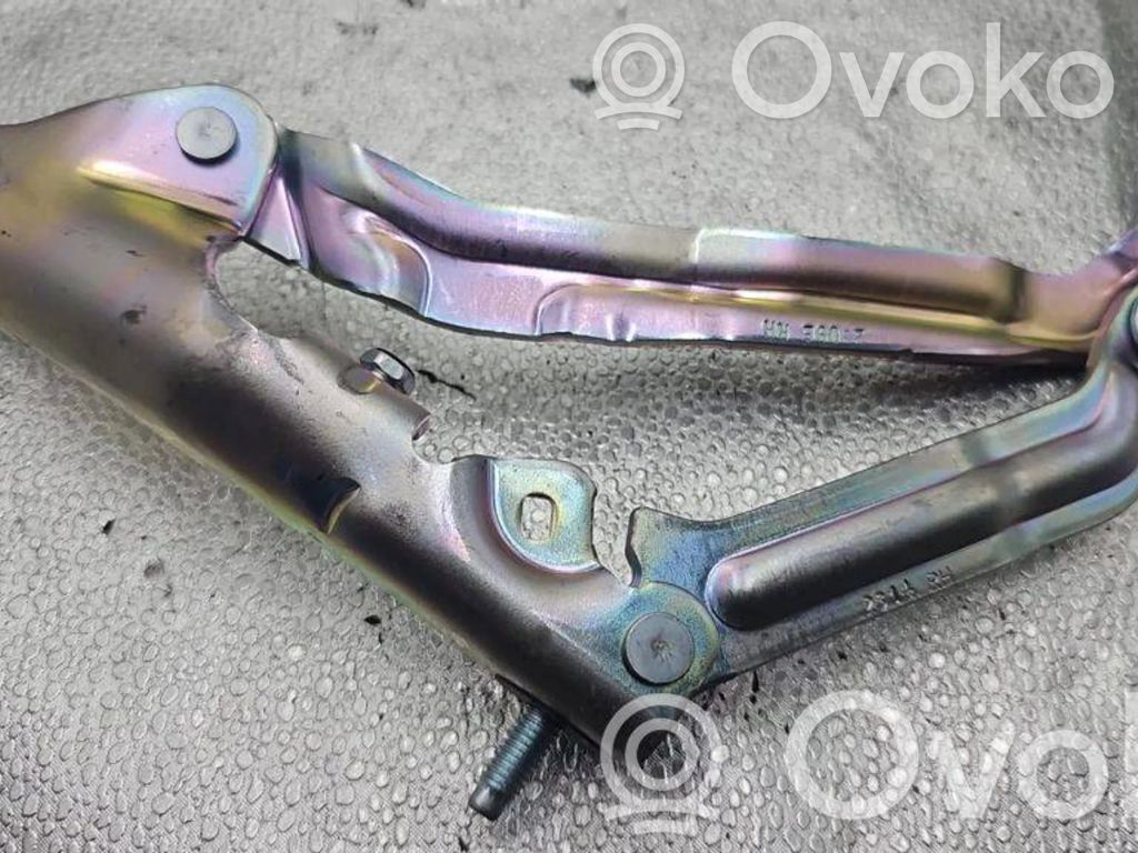 Tesla Model 3 Tailgate/trunk/boot hinge 