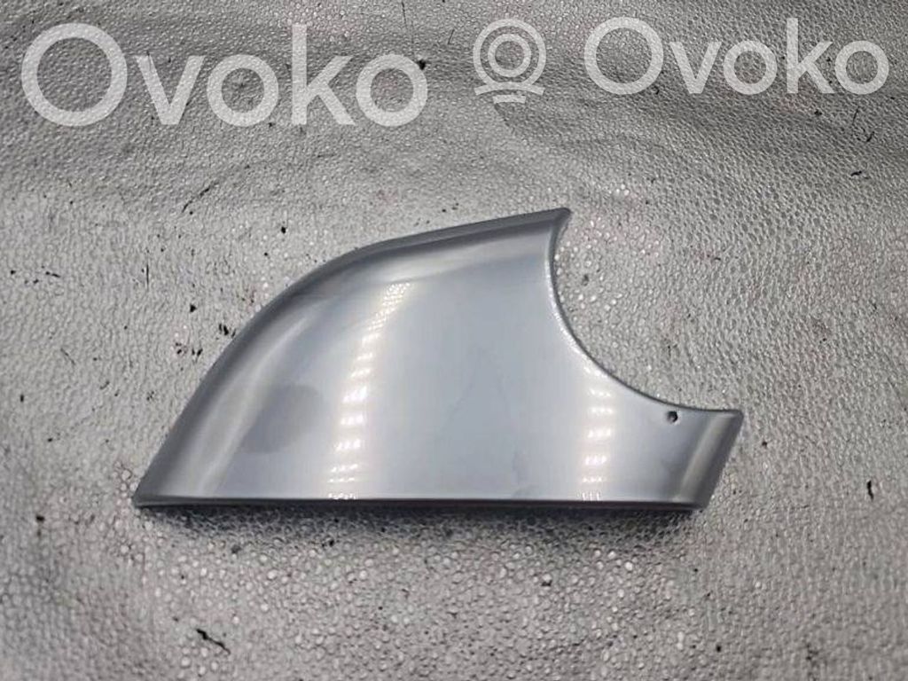 Tesla Model 3 Element lusterka bocznego drzwi przednich 