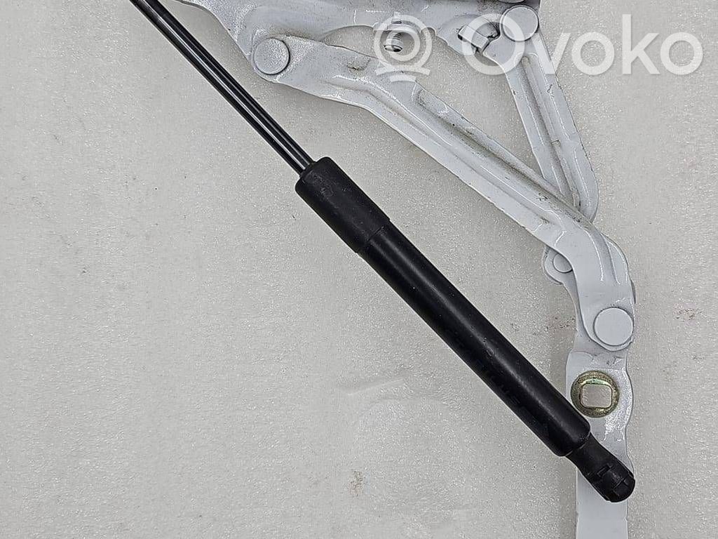 Tesla Model 3 Tailgate/trunk/boot hinge 