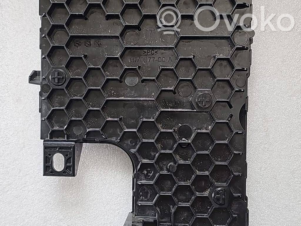 Tesla Model Y Comfort/convenience module 