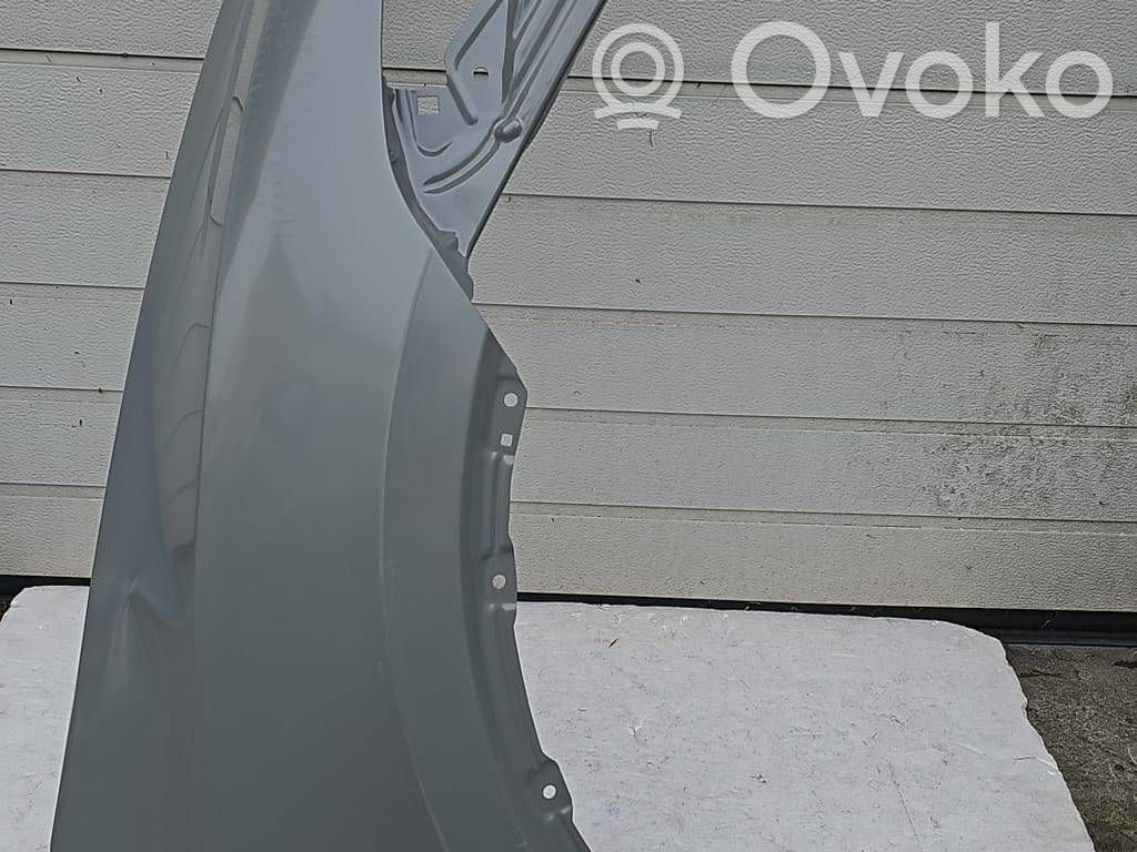 Tesla Model Y Juniper Parafango 