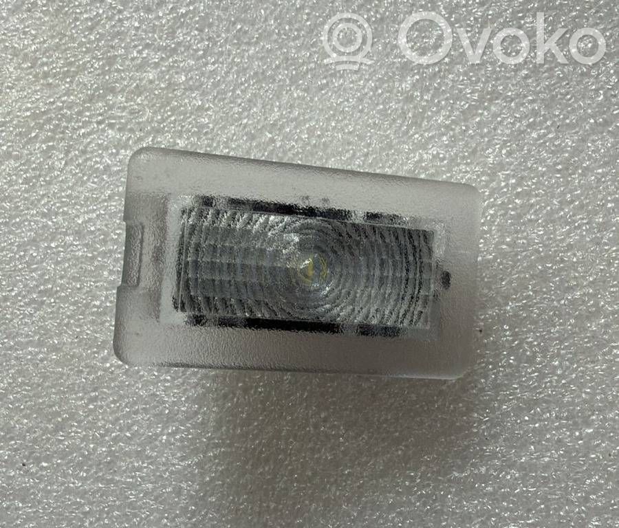 Tesla Model Y Front door interior light 